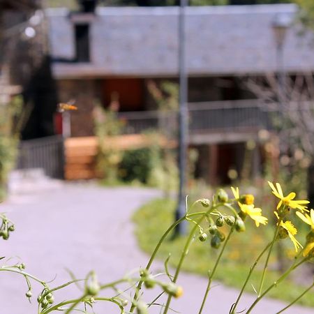 Apartaments Turistics Vilaro Llorts Екстер'єр фото